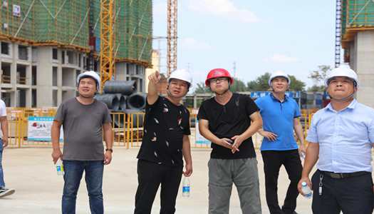 华体会hth·(体育)(中国)官方网站董事会巡检圆满完成